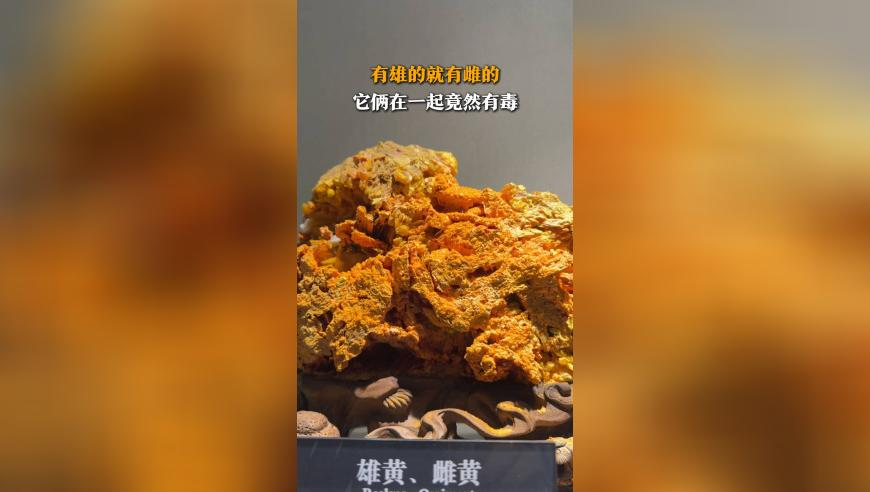 美滞留太空宇航员称没感到被抛弃,蓝月亮澳门正版免费资料大全,动态词语解释落实_投资版V6.93