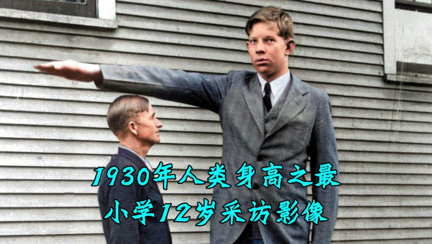 华盛顿州一机场两客机碰撞,26家天天好彩免费资料大全天下彩9944,动态词语解释落实_入门版V2.90
