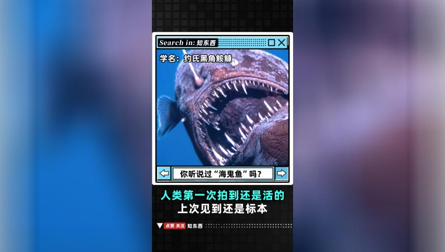 Spotify考虑退出6美元会员档,澳门一肖一码今晚中特资料,权威独家讨论与热门话题_内测版V14.62